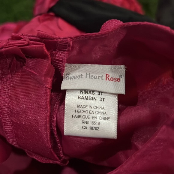 Girls Sweet Heart Rose - Pink Dress - Picture 4 of 4
